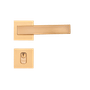 EPT -8-